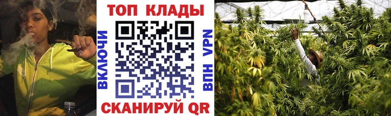 Где купить Фрязино Гашиш Бошки Шишки Меф мяу мяу