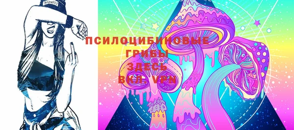 трава Арсеньев