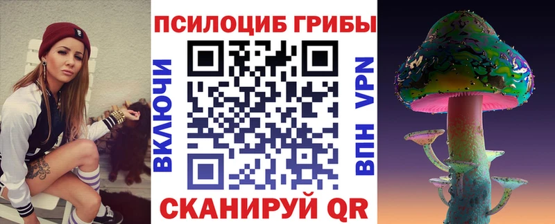 blacksprut зеркало Фрязино Псилоцибиновые грибы Cubensis